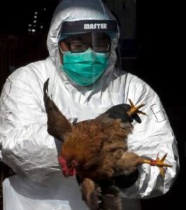 Shocking: First U.S. Child Diagnosed with Bird Flu in California